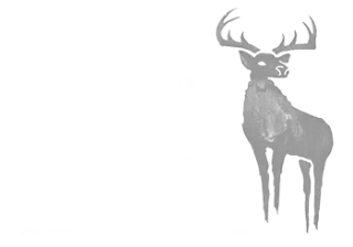 Black Deer Festival